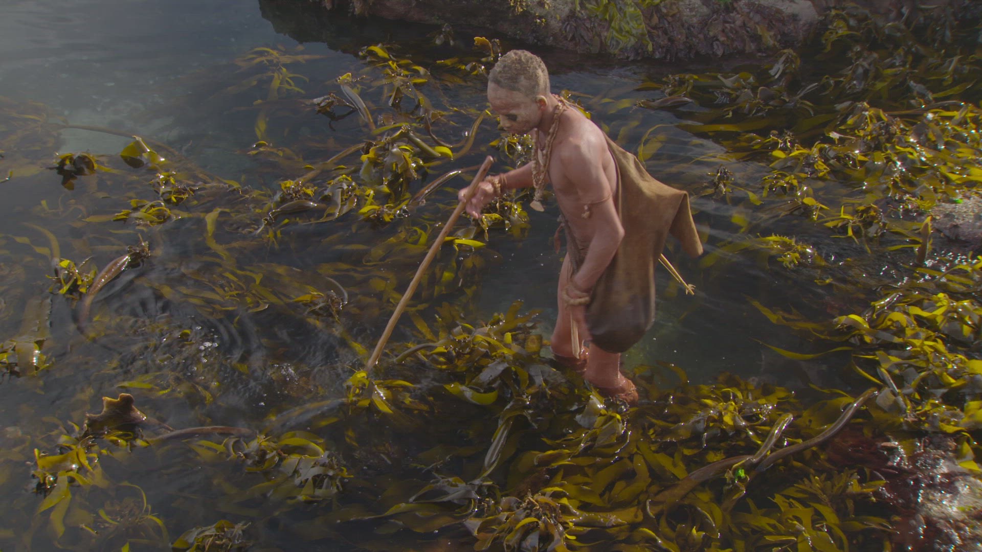 human sifting through kelp with hunting spear
