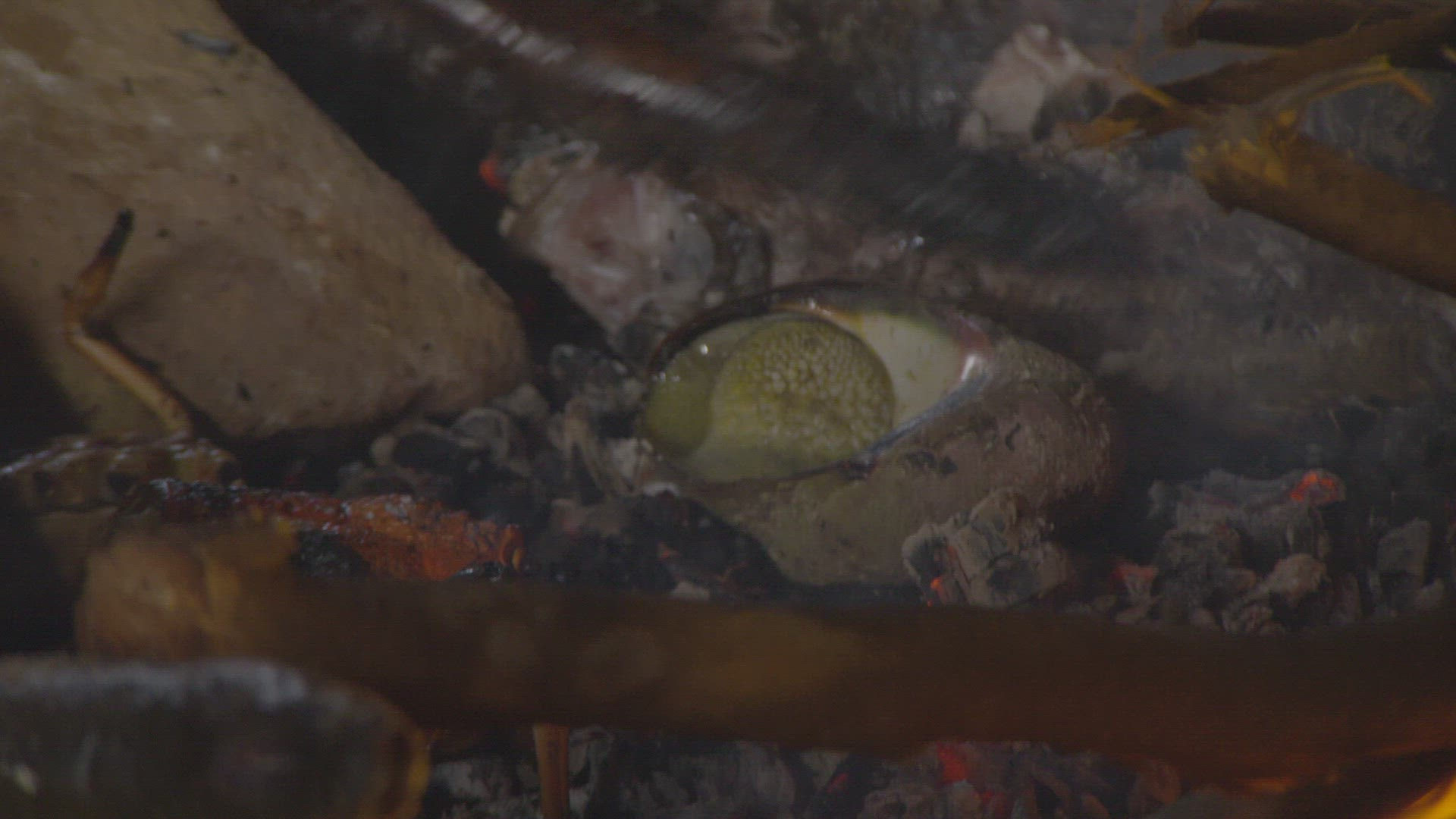 early humans eating prepared foraged food