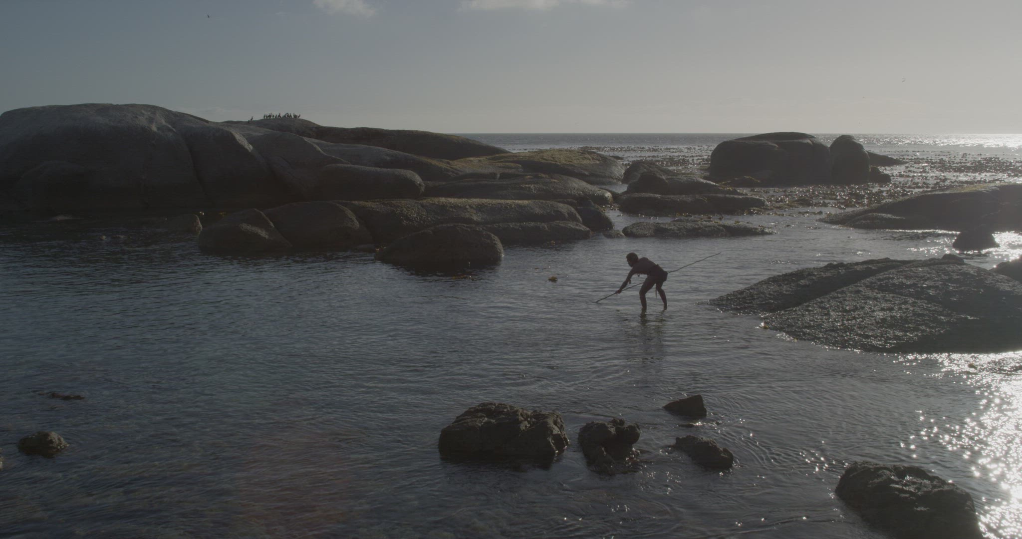 human spear fishing in intertidal zone