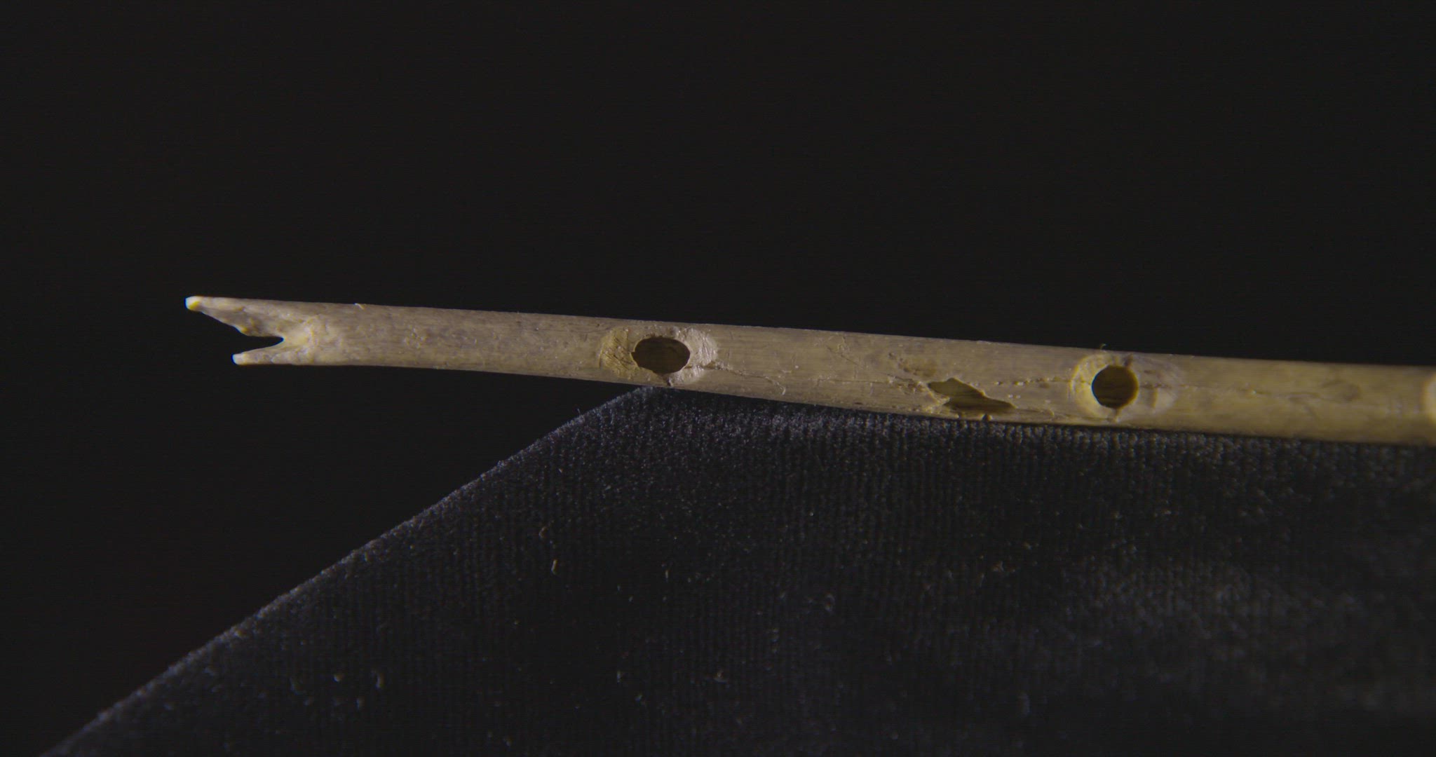 early human bone flute