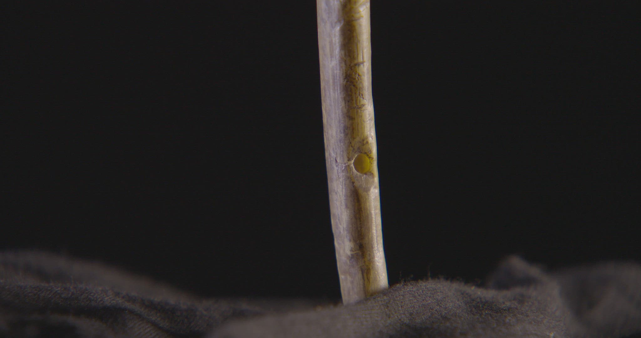 early human bone flute