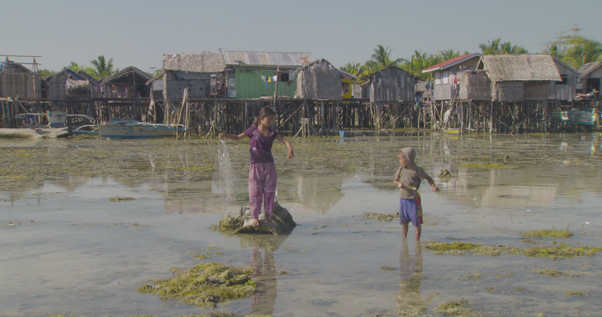 children gathering fishing net on the shore