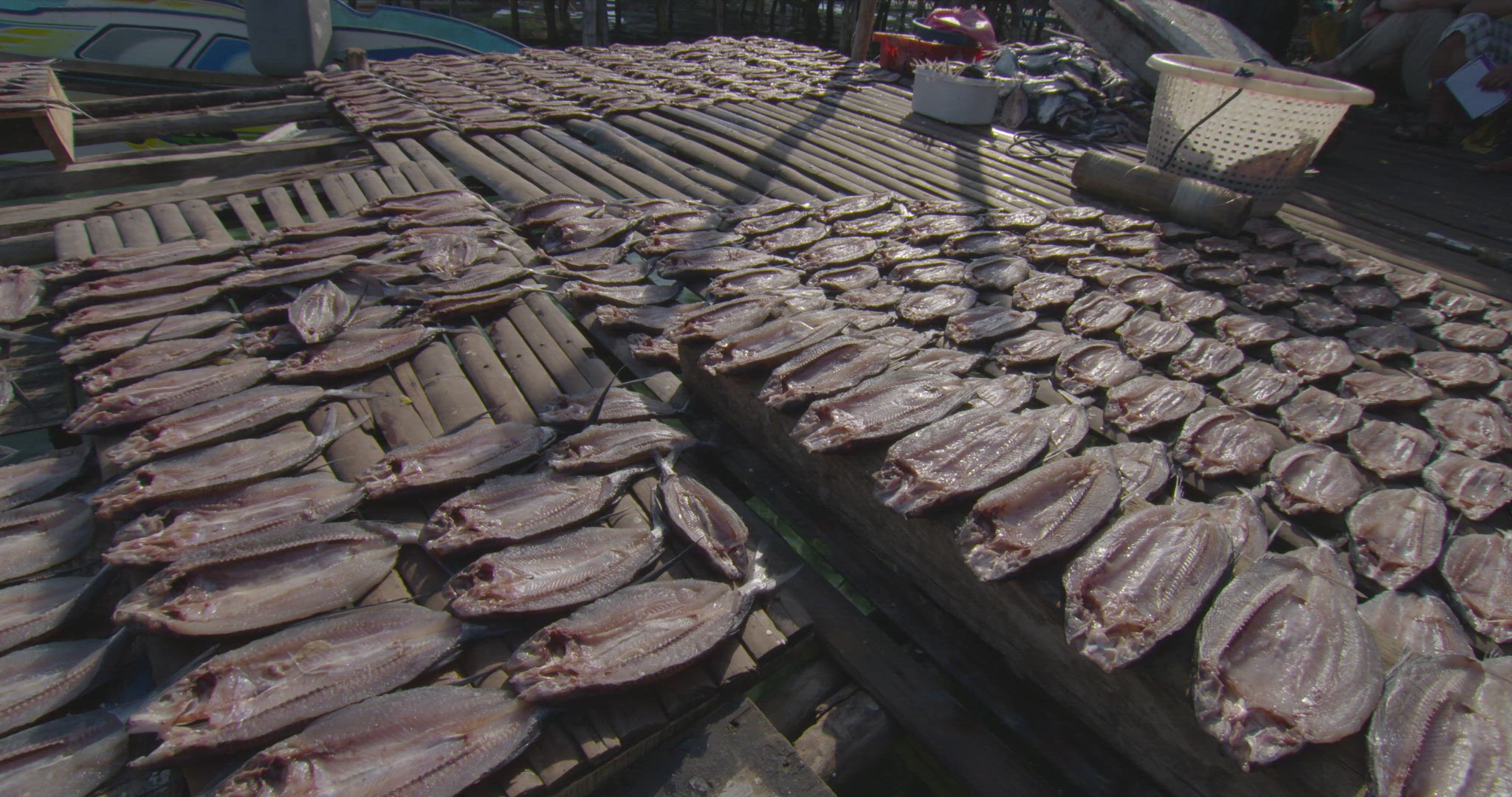 sun drying fish fillets