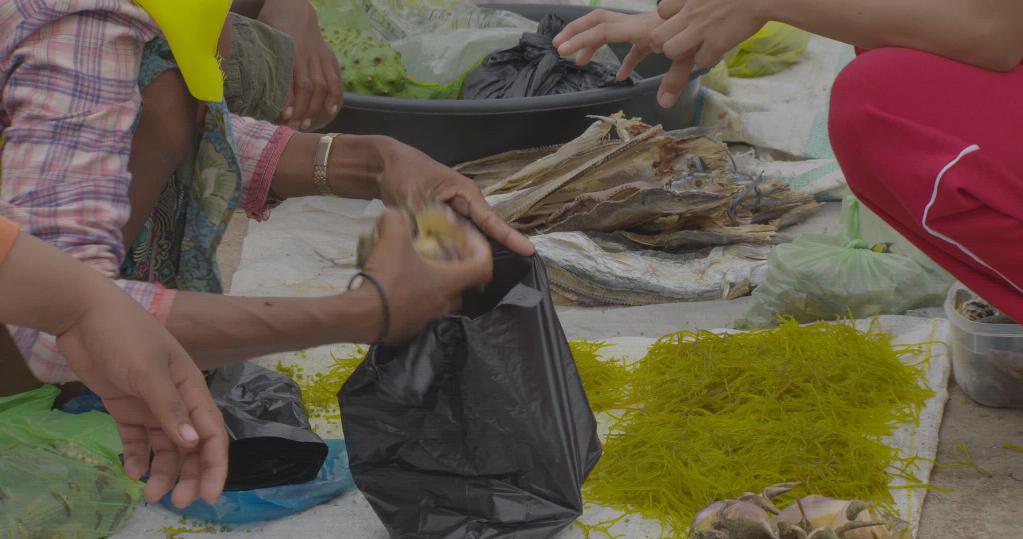 seafood being purchased at market