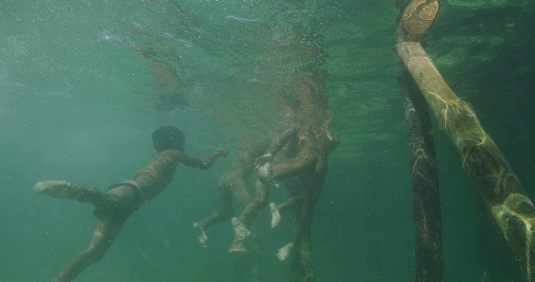 children jumping off dock into water