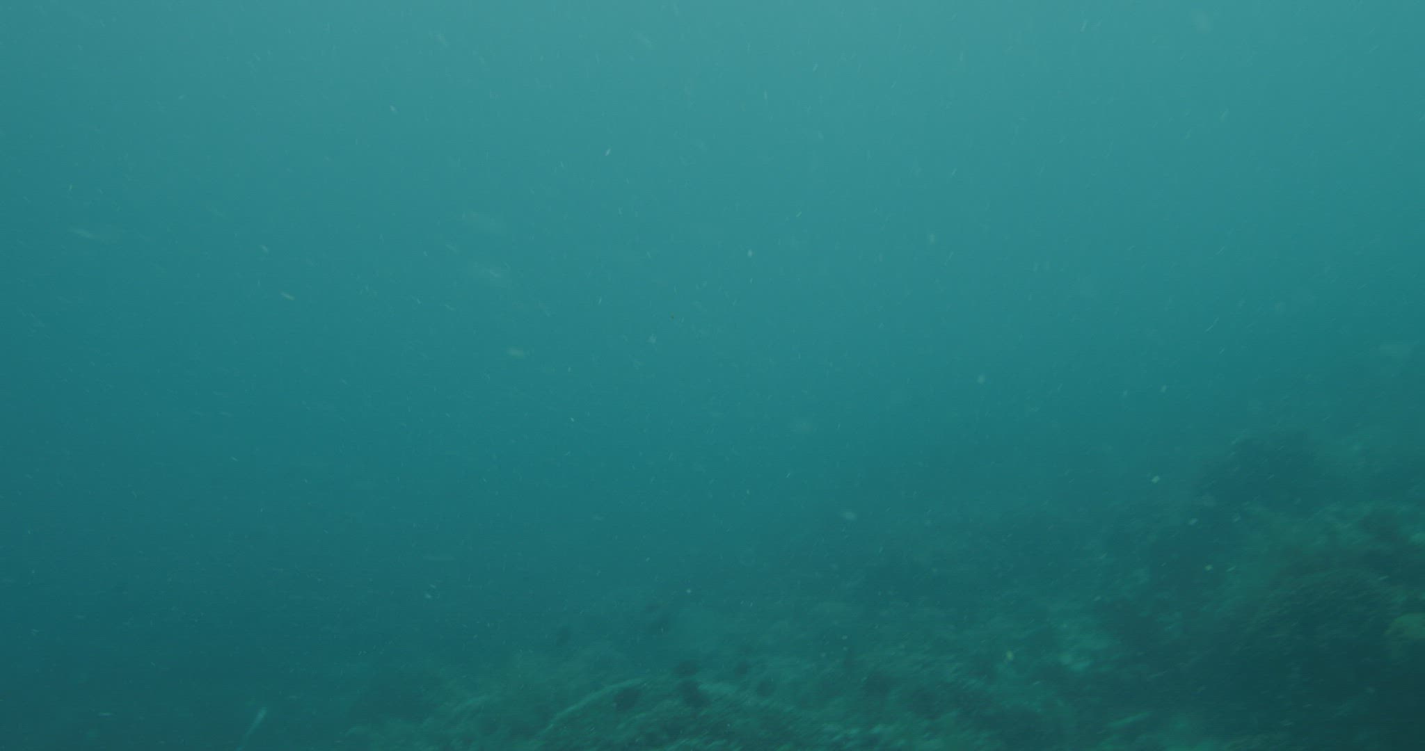 Filipino fisherman swimming with spearfishing gun