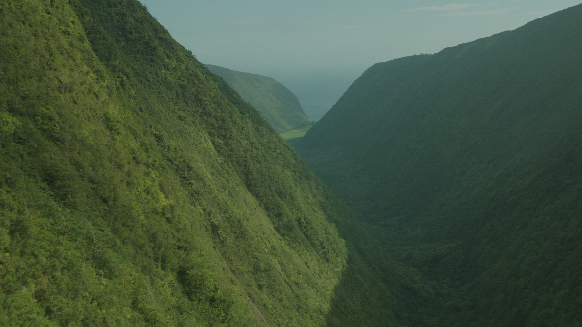 flying through forested valley to reveal ocean