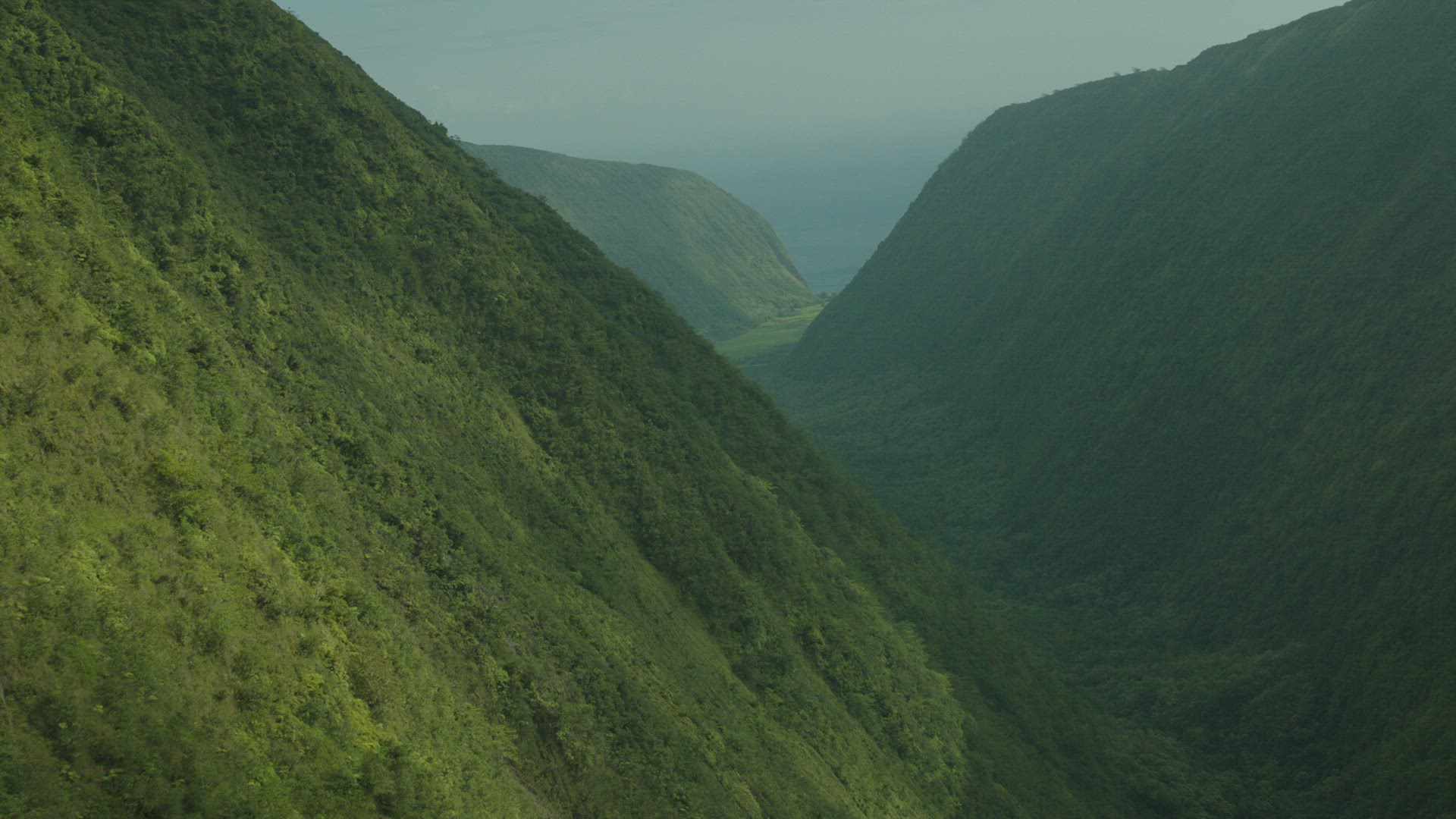 flying through forested valley to reveal ocean