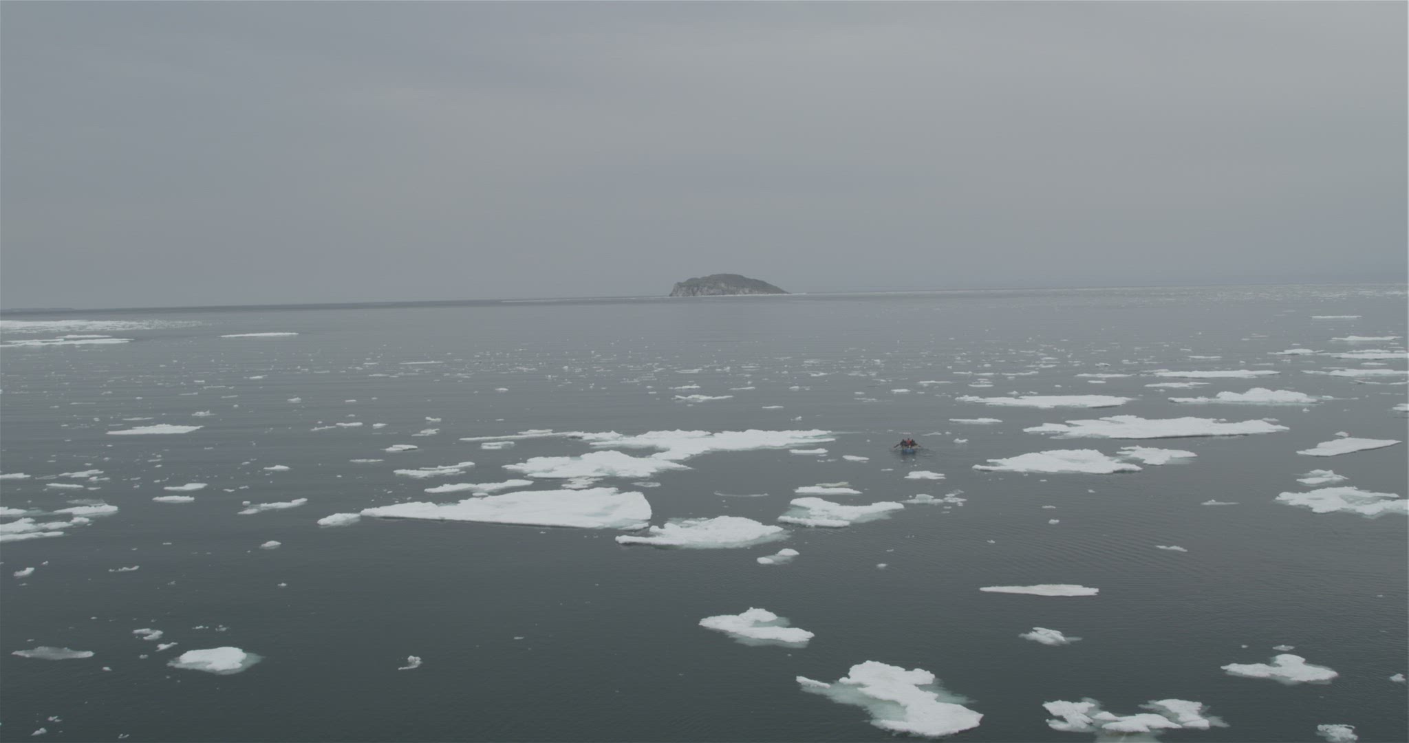 paddle boat floating through lake