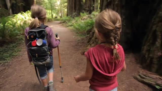 Girls explore Redwood forest