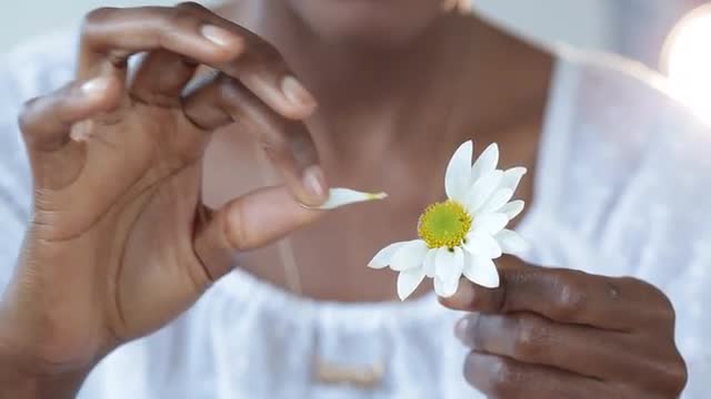 Close up of Black woman pulling petals off daisy