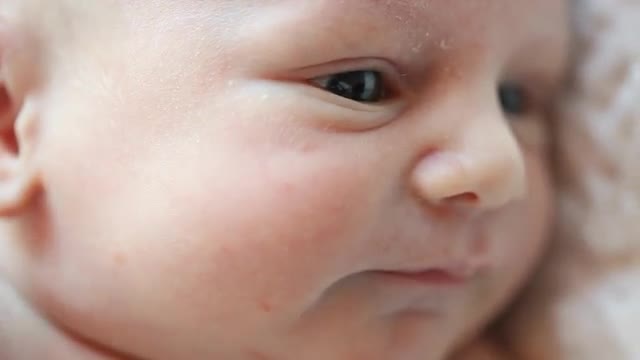 Close up of a Caucasian newborn's face with open eyes