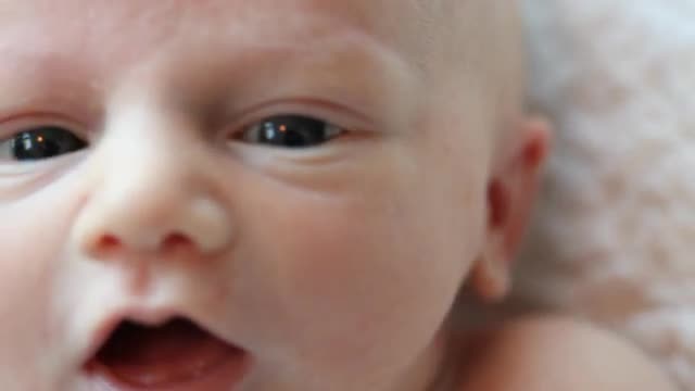 Close up of a Caucasian newborn's face with open eyes