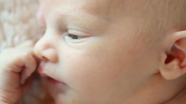 Close up of a Caucasian newborn's face with open eyes