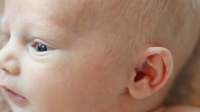 Close up of a Caucasian newborn's face with open eyes