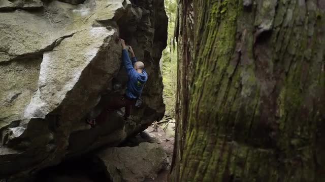 Climbing Up