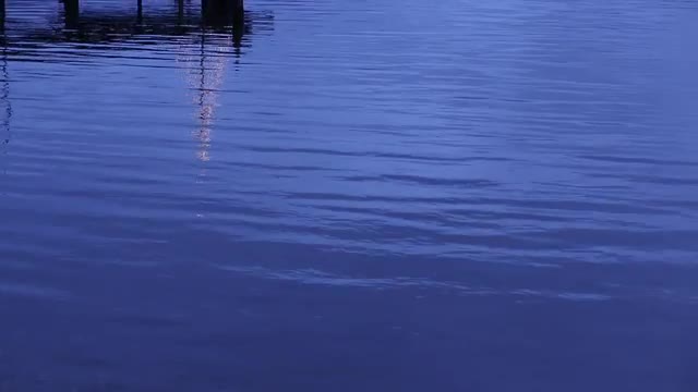 Christmas display on dock in Bellingham, Washington, United States