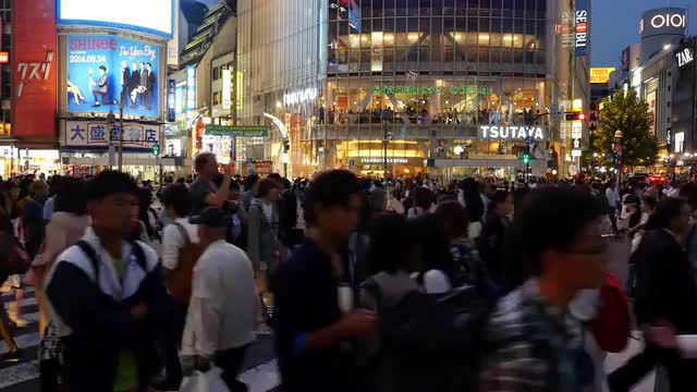 Time Lapse of Busy Shibuya Scramble Crossing Evening  - Tokyo Japan