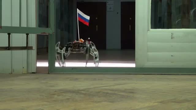 Spider robot