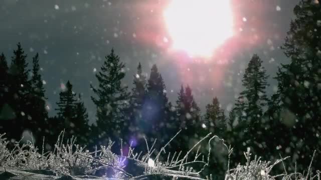 Phantom Snowflakes_03
