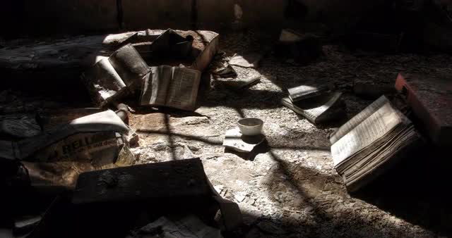 Asylum Teacup And Book With Shadows Crossing Over
