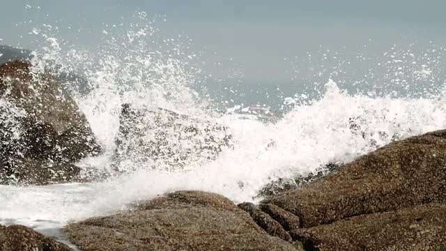 Ocean Spray