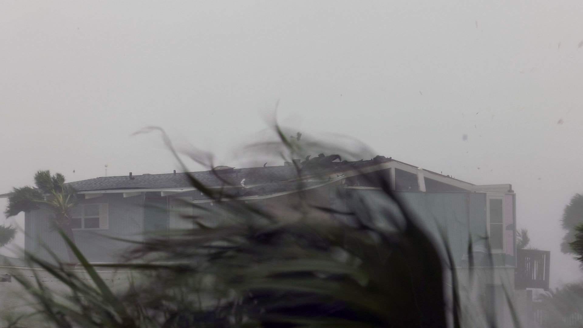 Hurricane Michael, Florida, 2018, Cat 5 -