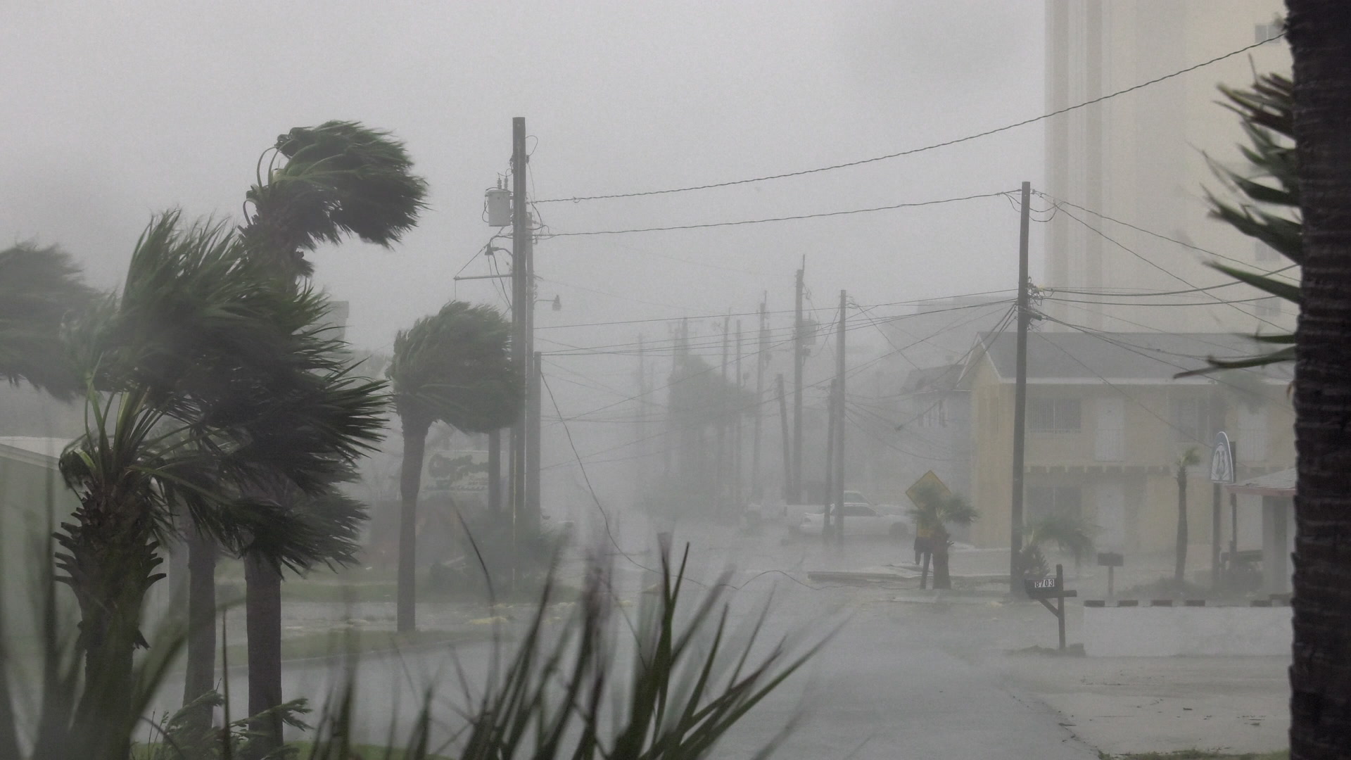 Hurricane Michael, Florida, 2018, Cat 5 -