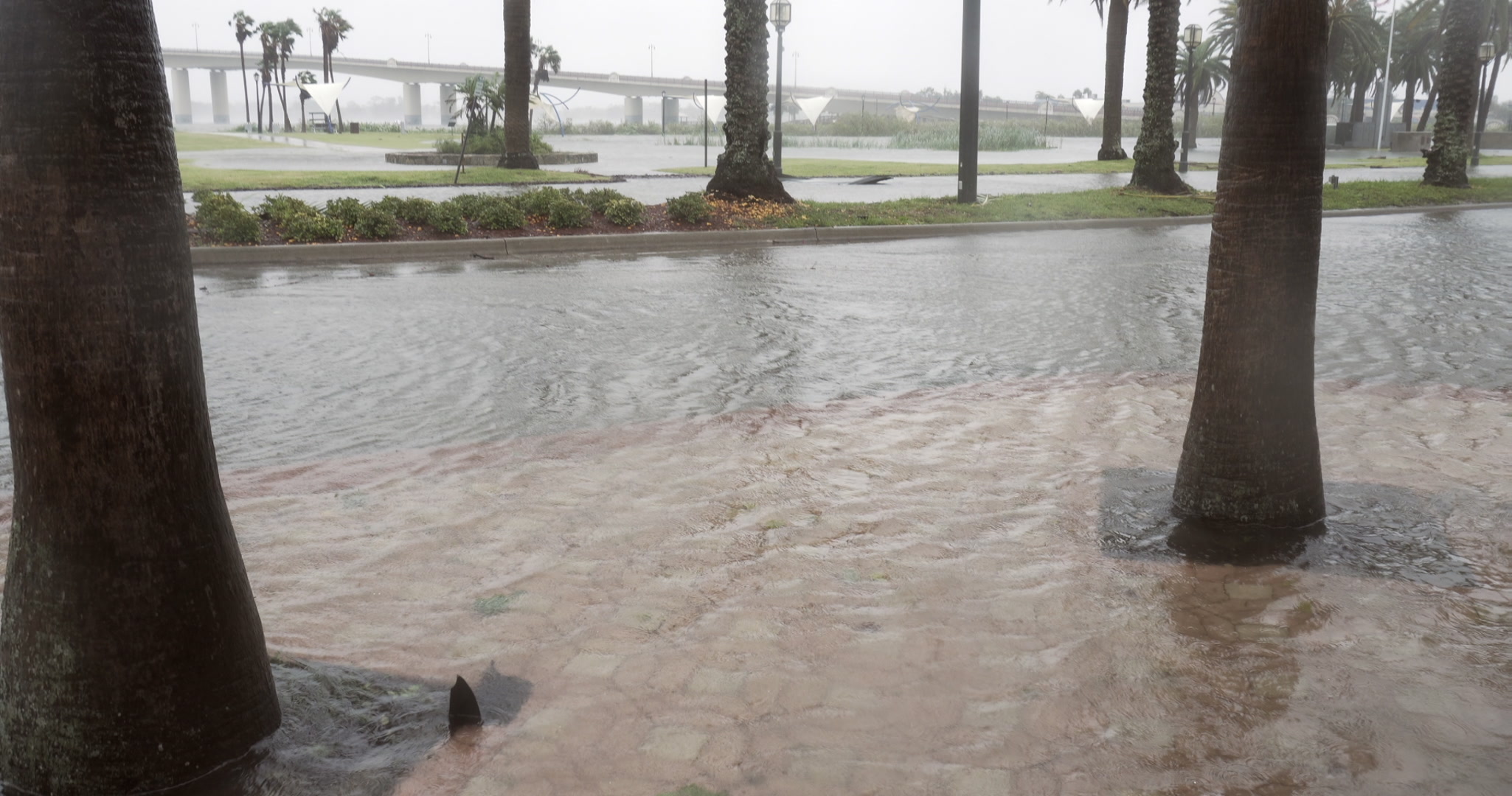Commercial street flooded, Hurricane Matthew, Florida, Category 4, 2016, 4K