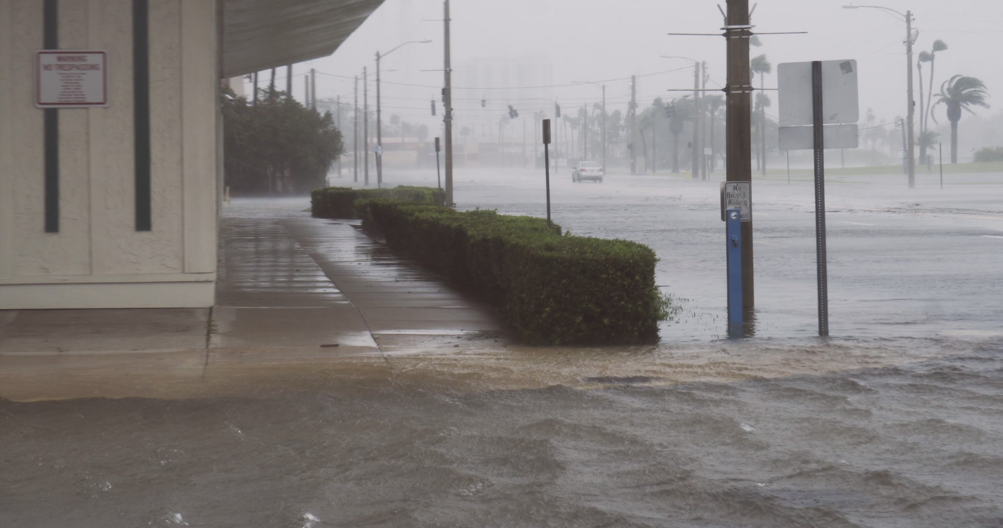 Flooded street, wind, Hurricane Matthew, Florida, Category 4, 2016, 4K