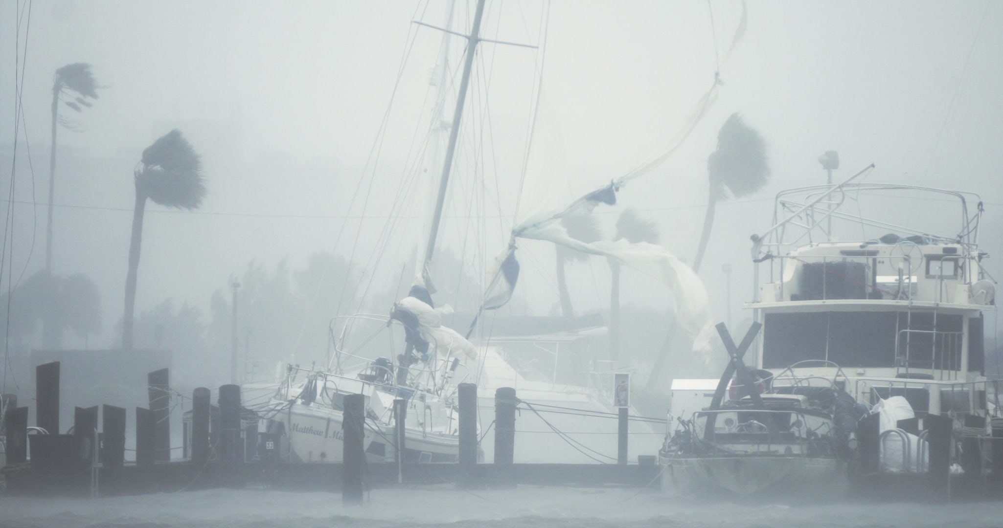 Severe winds blow past boats, marina, Hurricane Matthew, Florida, Category 4, 2016
