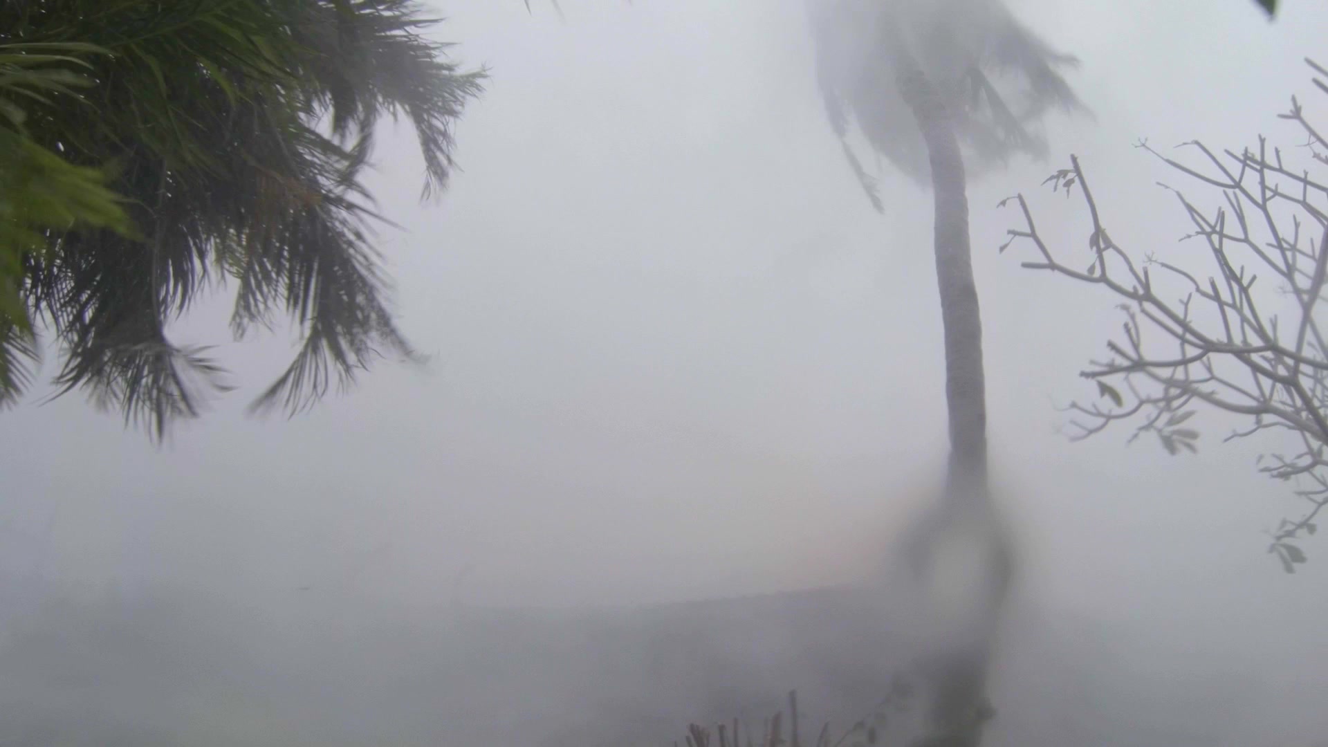 Super Typhoon Haiyan, crazy intense wind, rain, trees, house