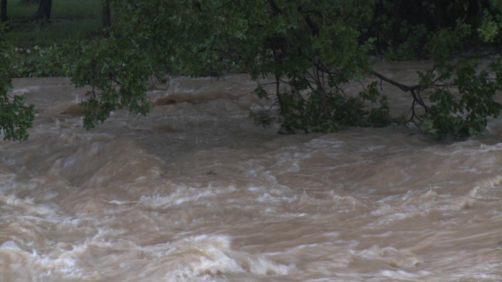 Urban flooding - Flood water rushing under tree, HD