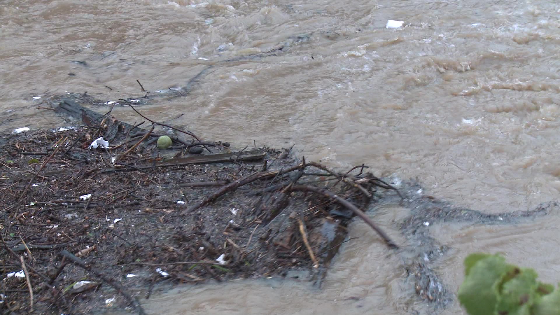 Urban flooding - Floating debris caught in flood water
