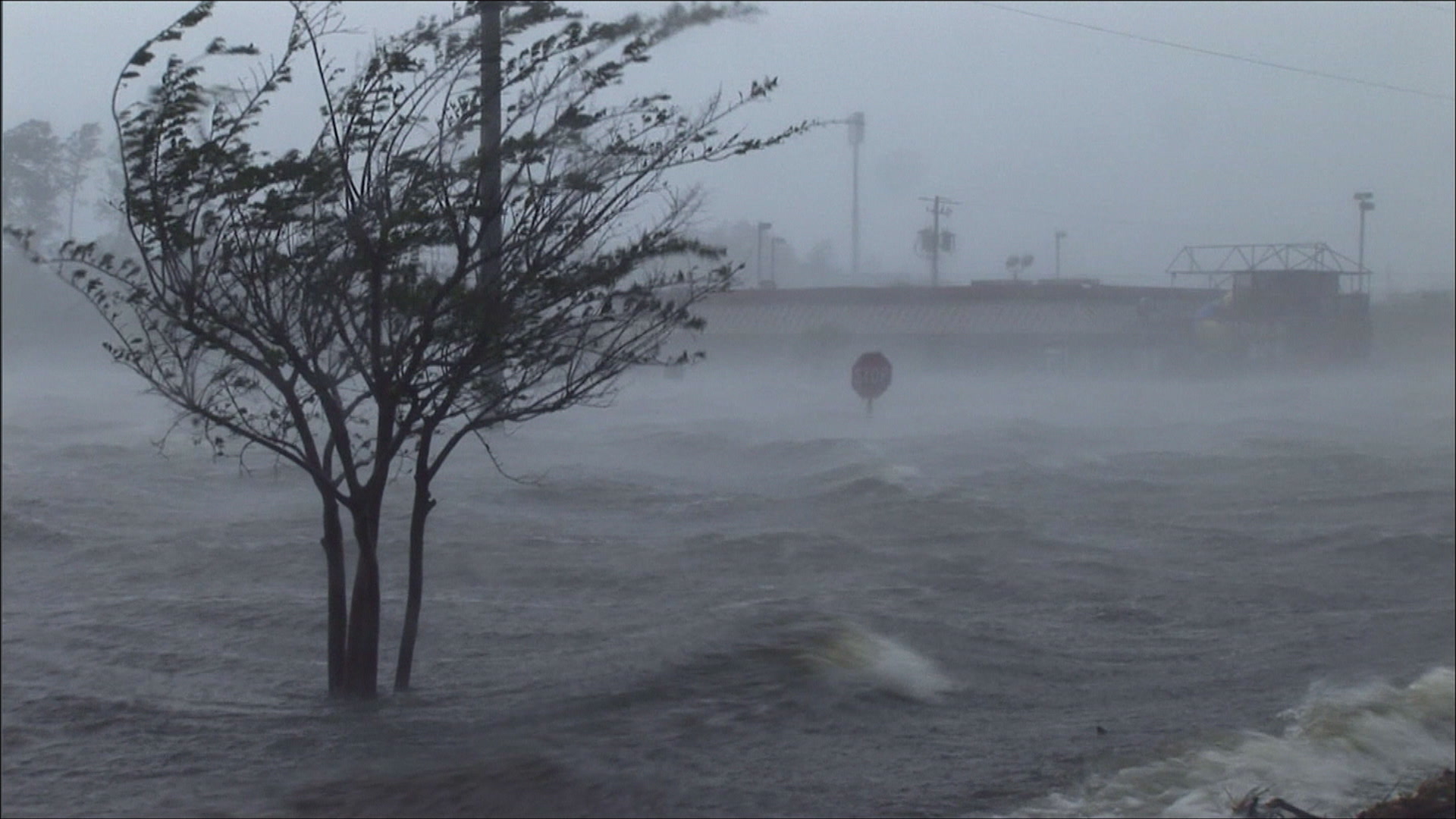 Hurricane Katrina - storm surge flows through parking lot, past tree, 4K