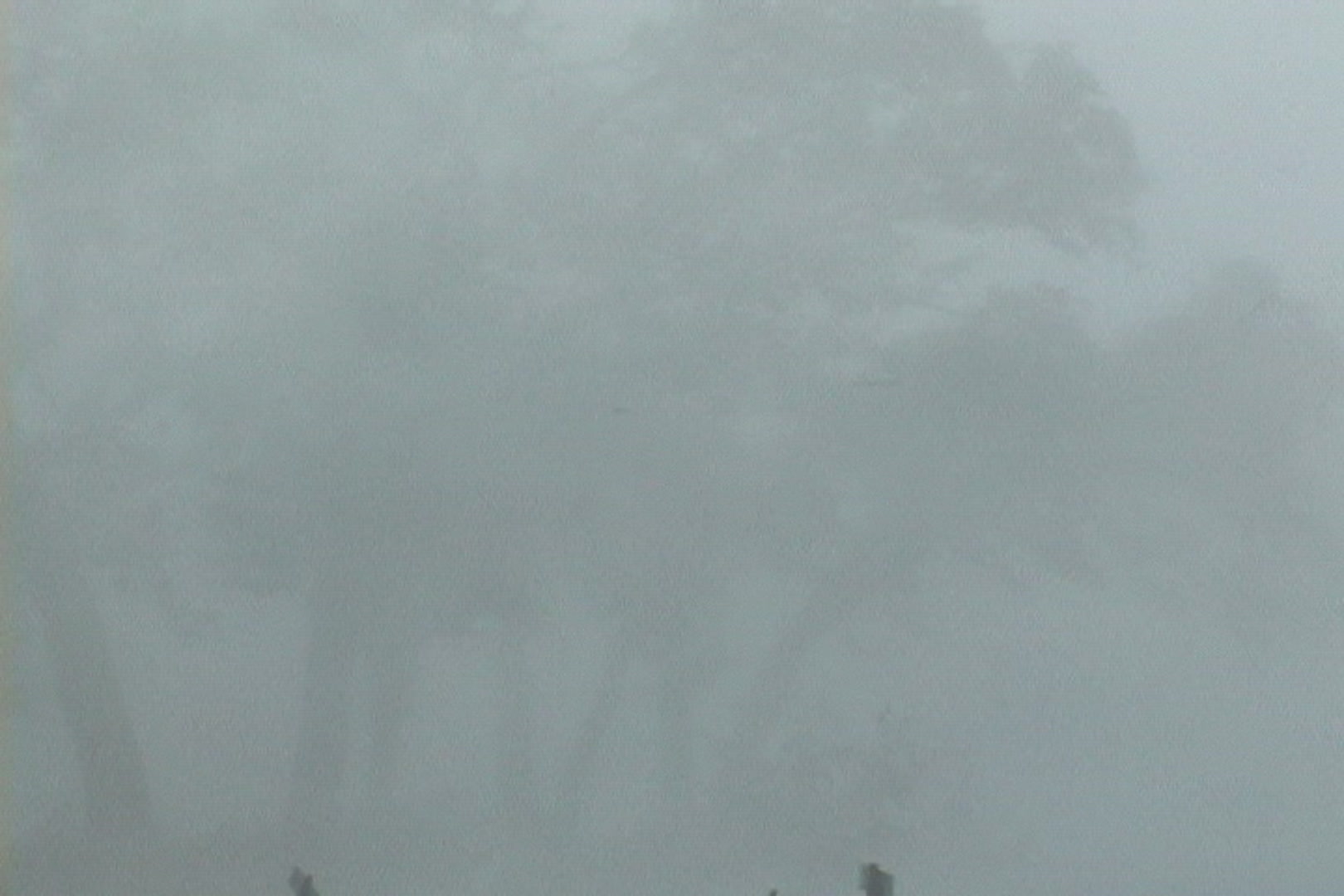 Intense wind and rain blow past trees, Hurricane Katrina