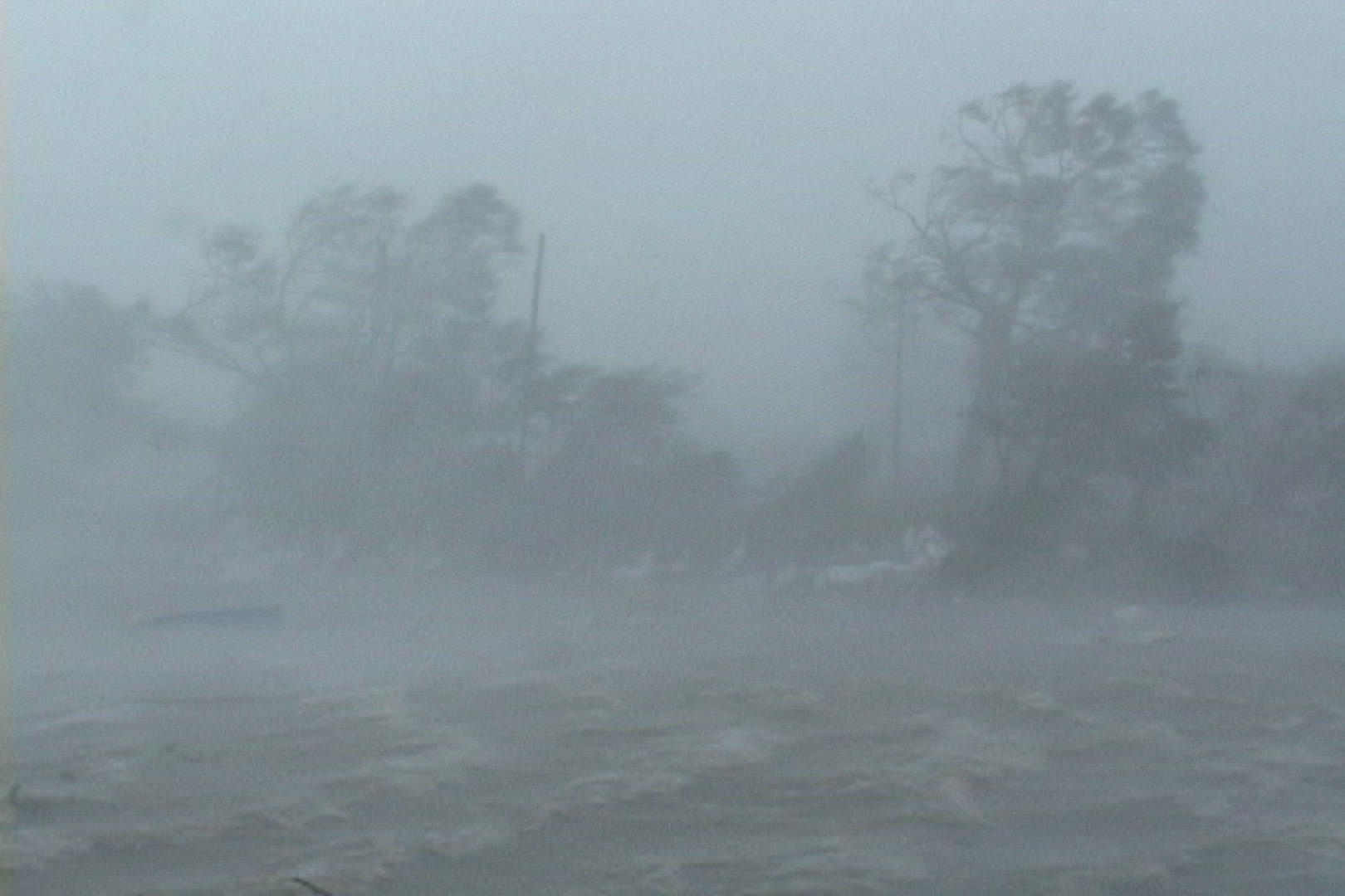 Intense wind and storm surge blow past trees and debris, Hurricane Katrina