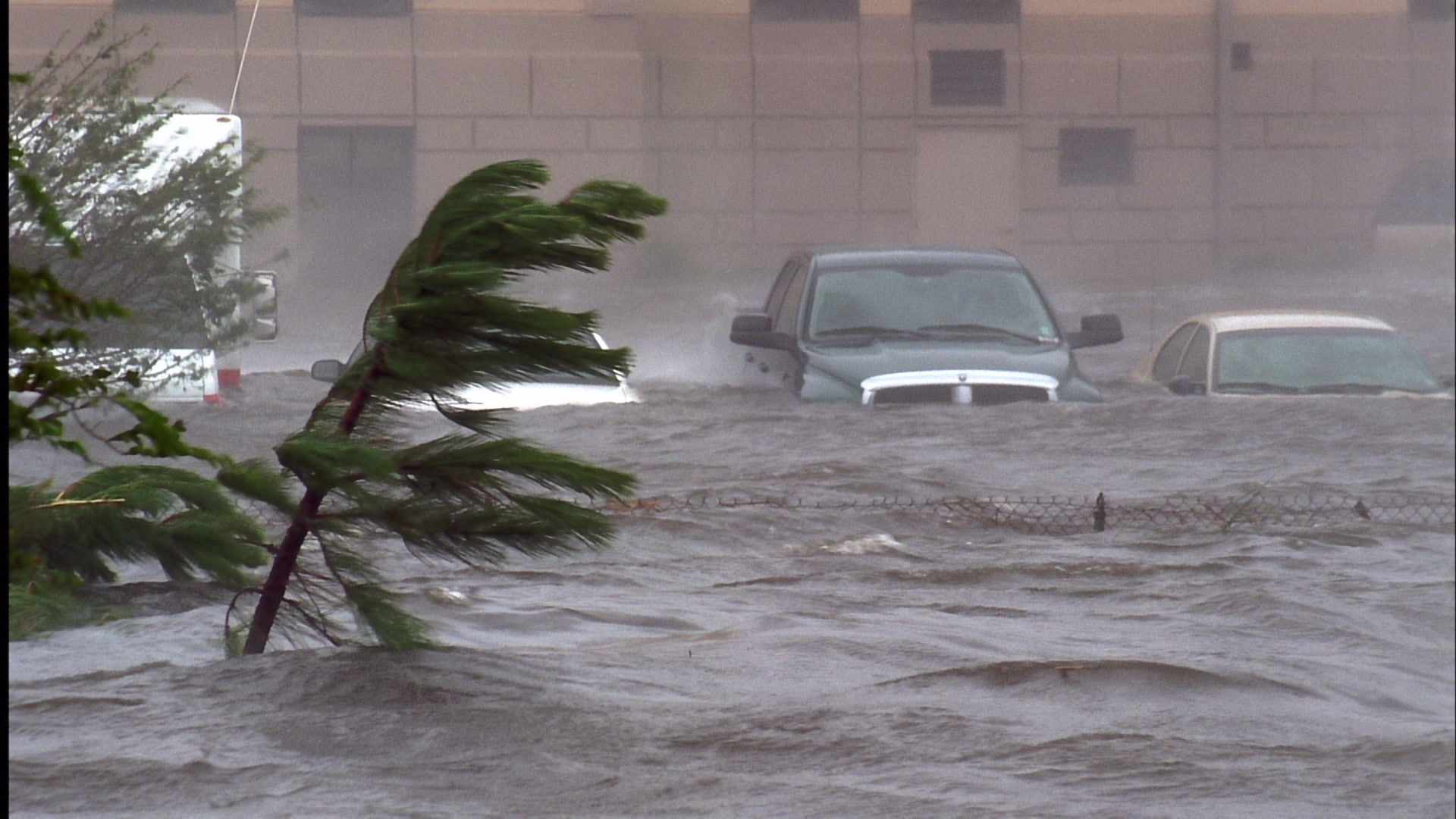 Cars in parking lot overtaken by storm surge, Hurricane Katrina, film
