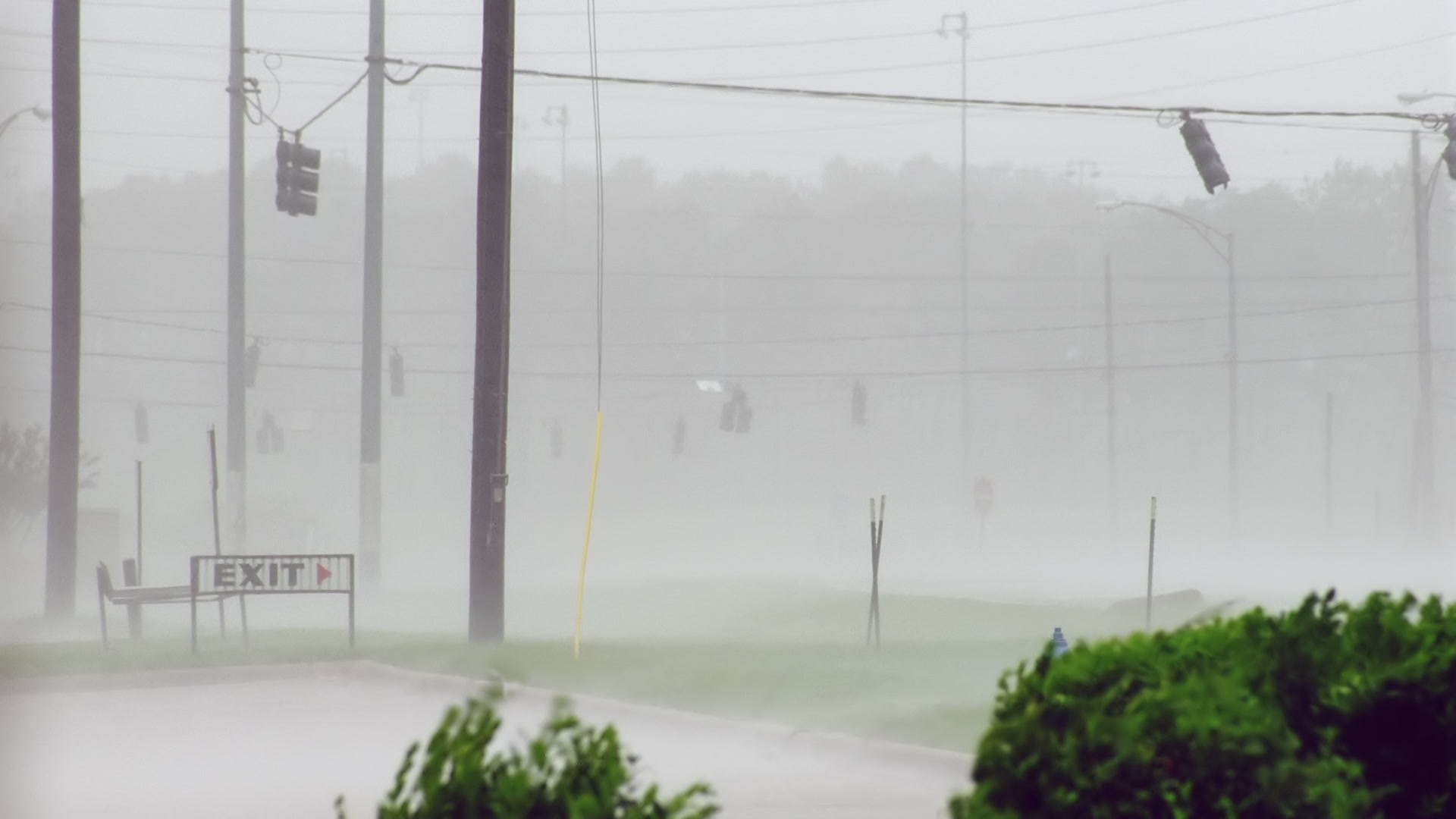 Intense wind and rain blow past traffic lights, Hurricane Katrina, Super 35mm film to 4K