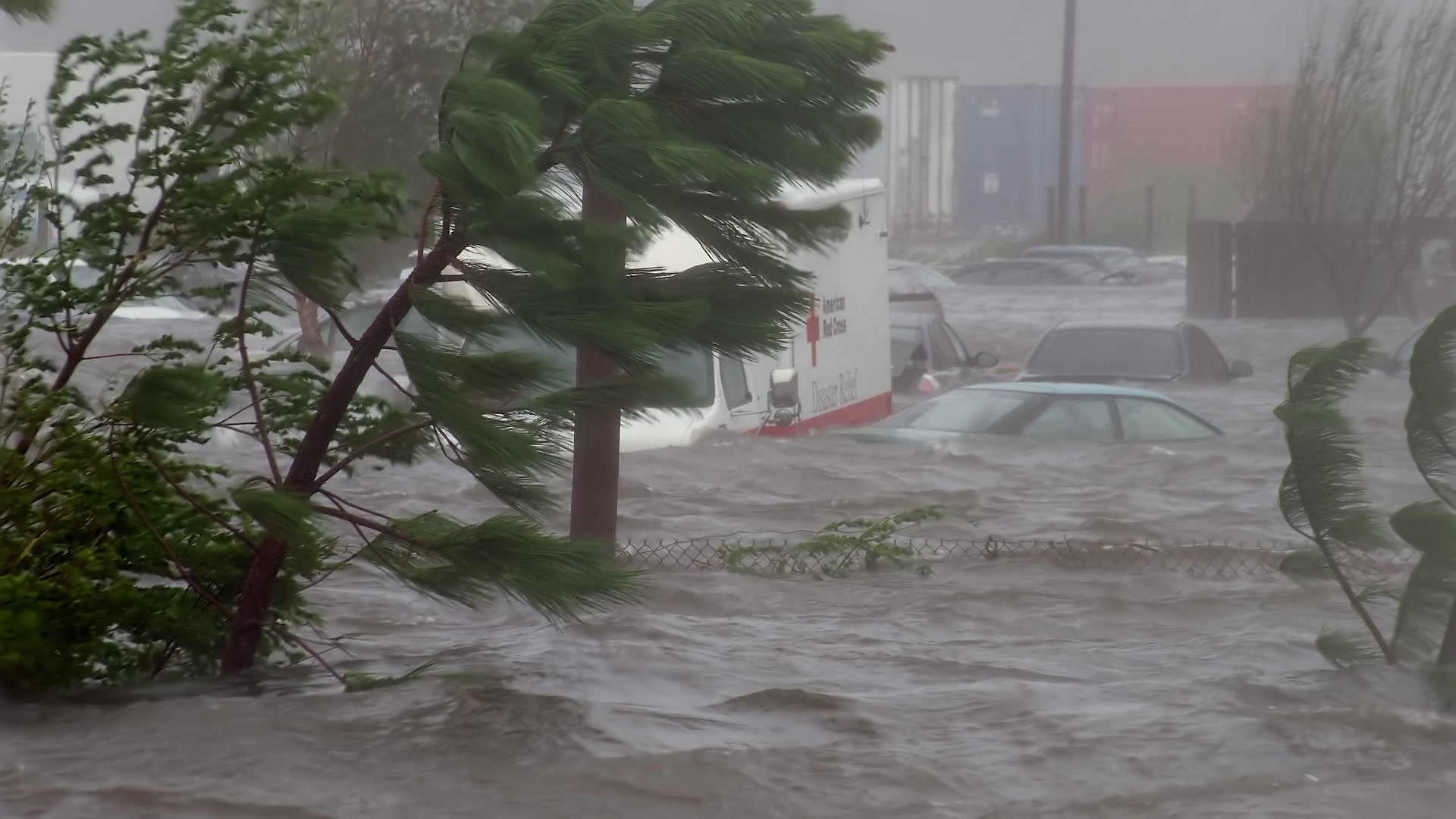 Cars, Red Cross truck overcome by storm surge, Hurricane Katrina, Super 35mm film to 4K