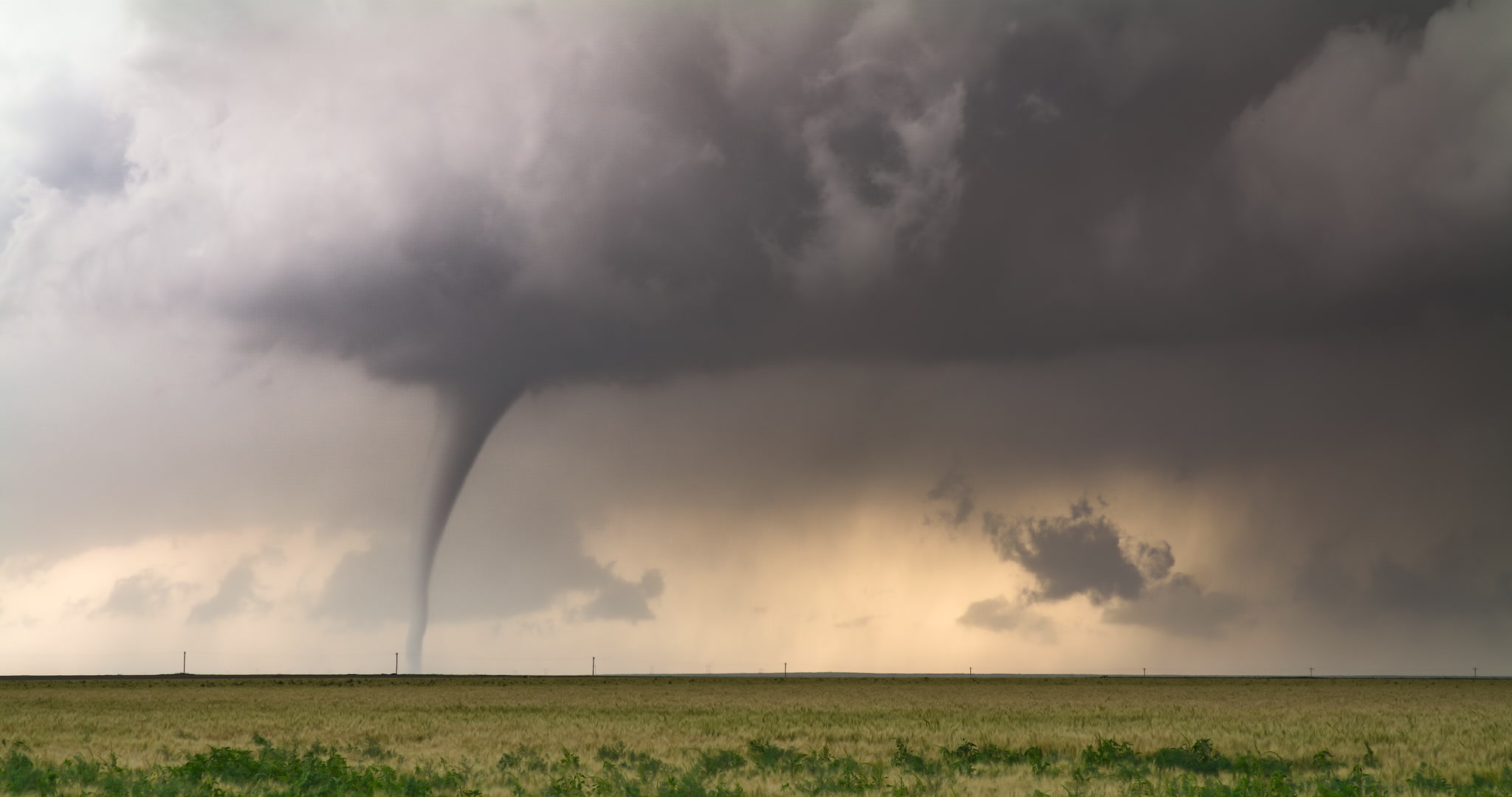 Tornado weaves and stretches over wheat, Holly, Colorado, 6K
