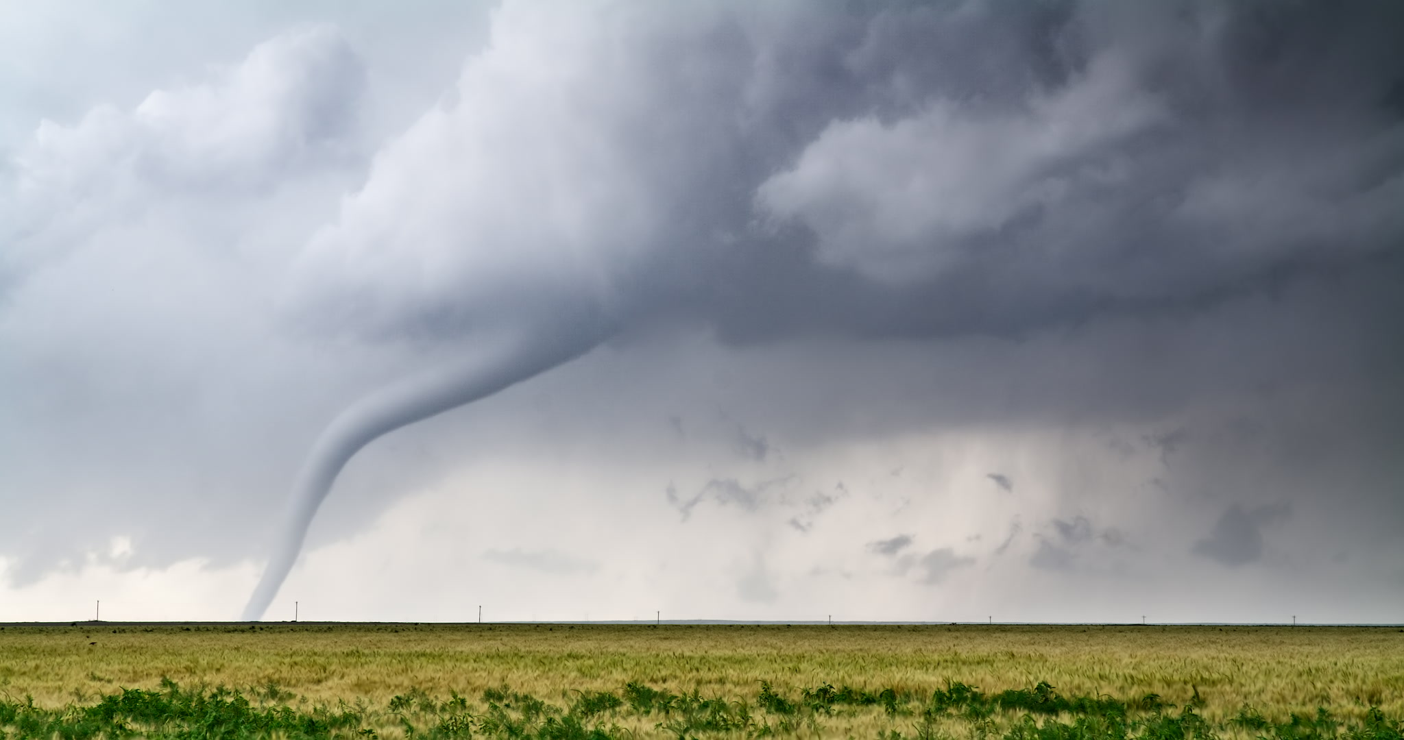 Classic gray tornado over wheat, Holly, Colorado, 6K