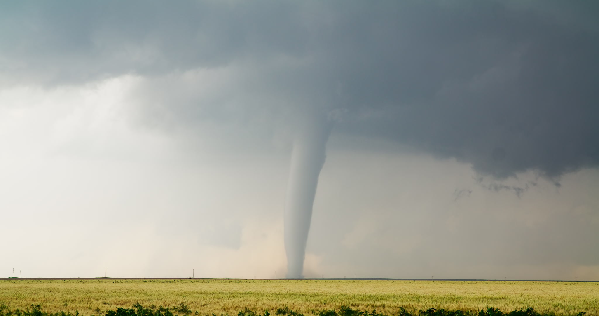 Stovepipe tornado over wheat, Holly, Colorado, 6K