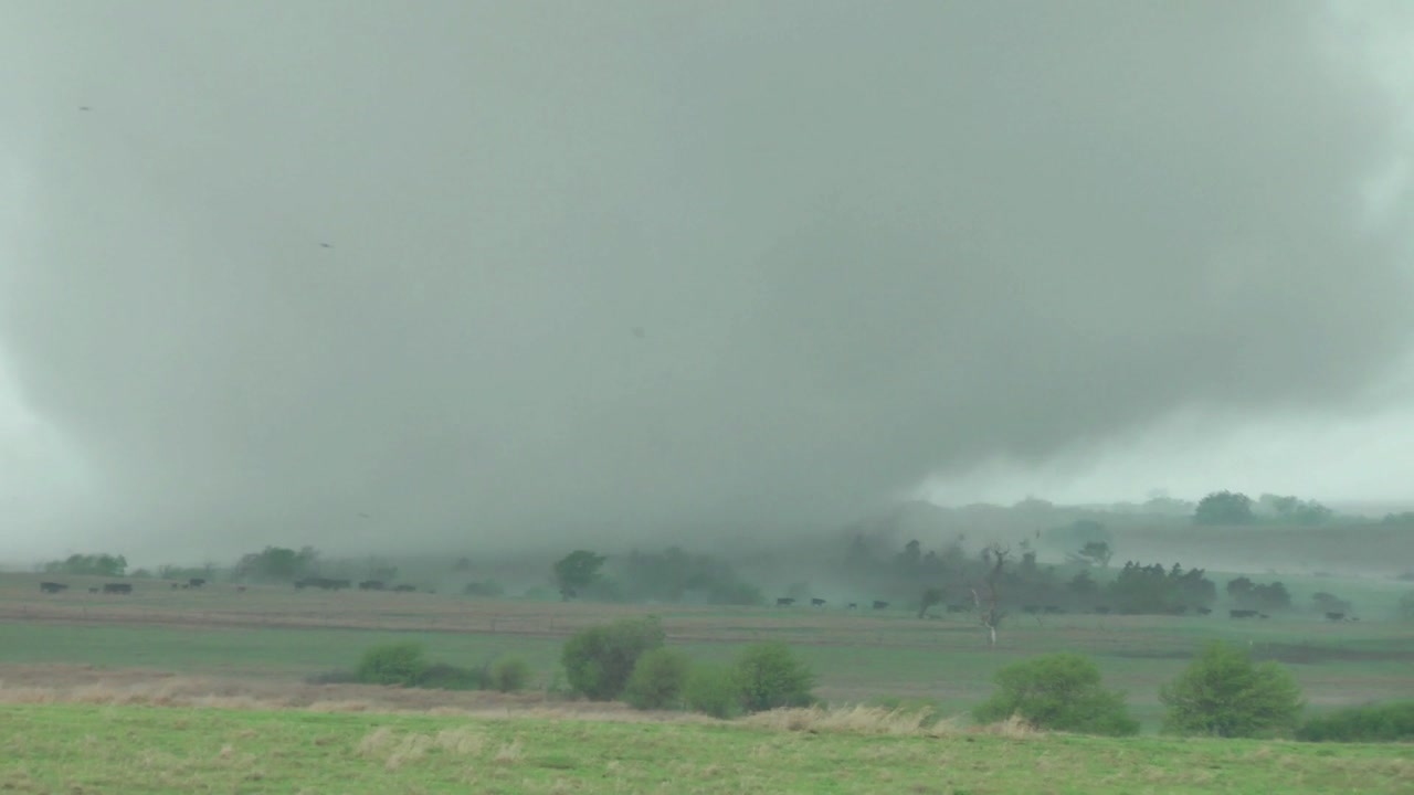 Tornado sucks up cows, farm, Kansas