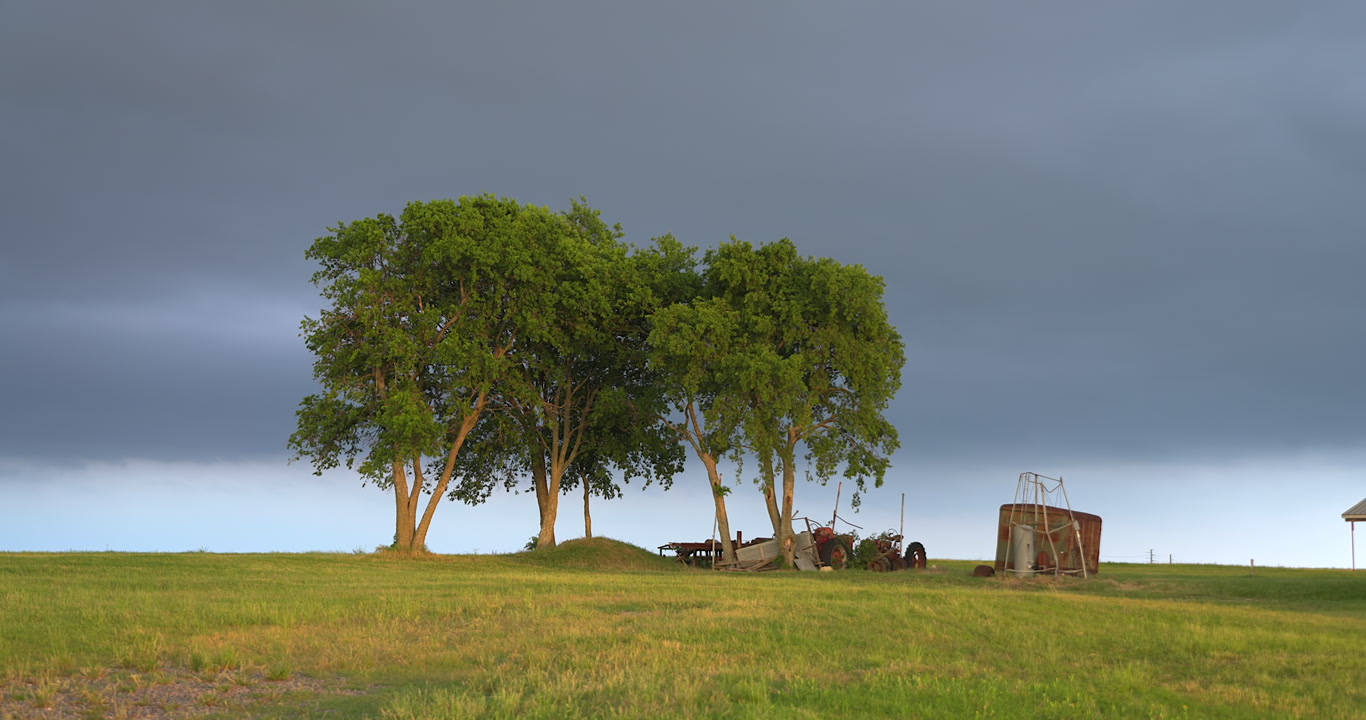 Trees and agricultural equipment, green grass, farm, gray sky, golden hour, 4K