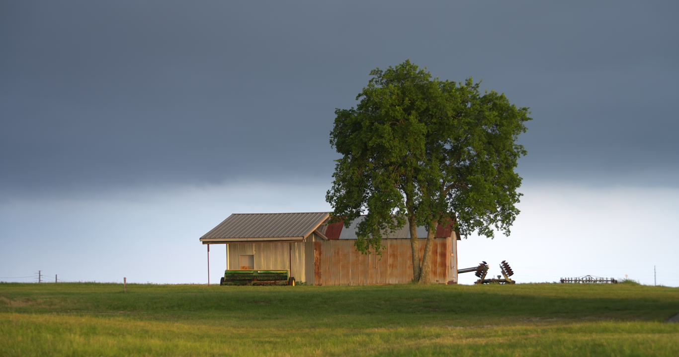 Lone barn, tree and green grass on farm, gray sky, golden hour, 4K
