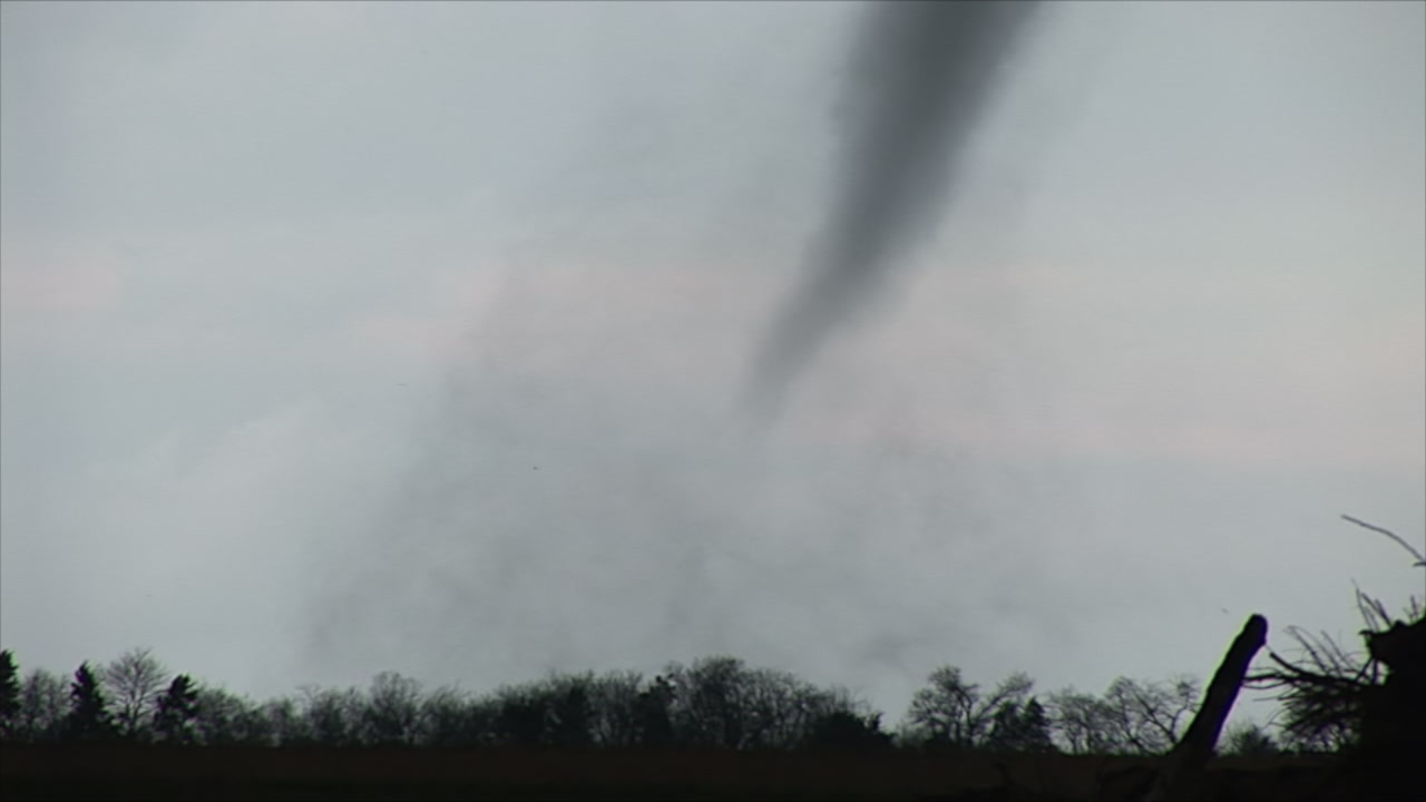 Small tornado tracks behind trees, HD