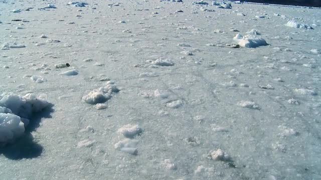 Frozen Arctic Sea