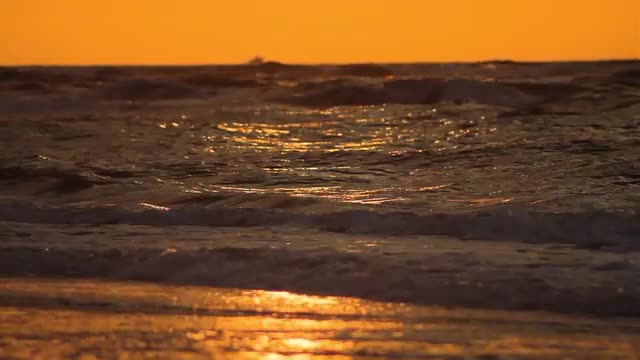Golden Waves