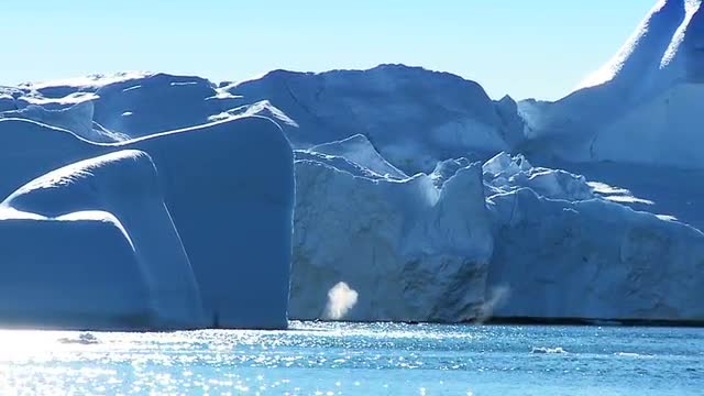 Pod of Humpback Whales Using Blow Holes